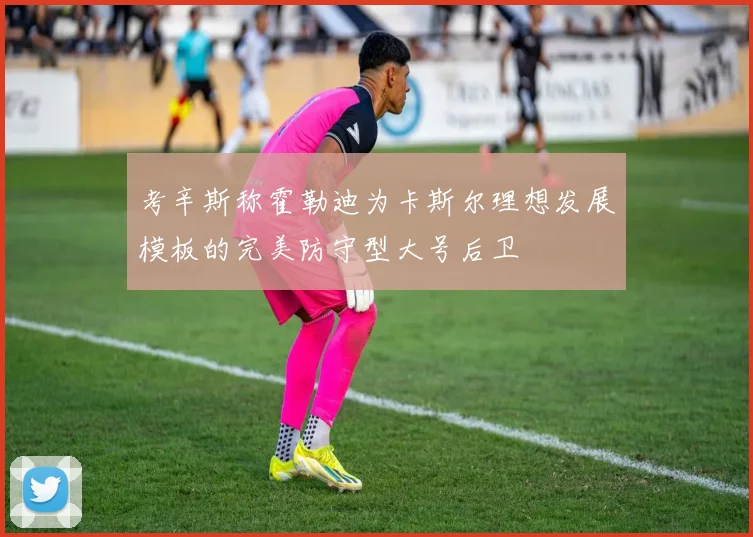 考辛斯称霍勒迪为卡斯尔理想发展模板的完美防守型大号后卫
